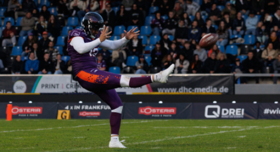 Logo Swirl Frankfurt Galaxy